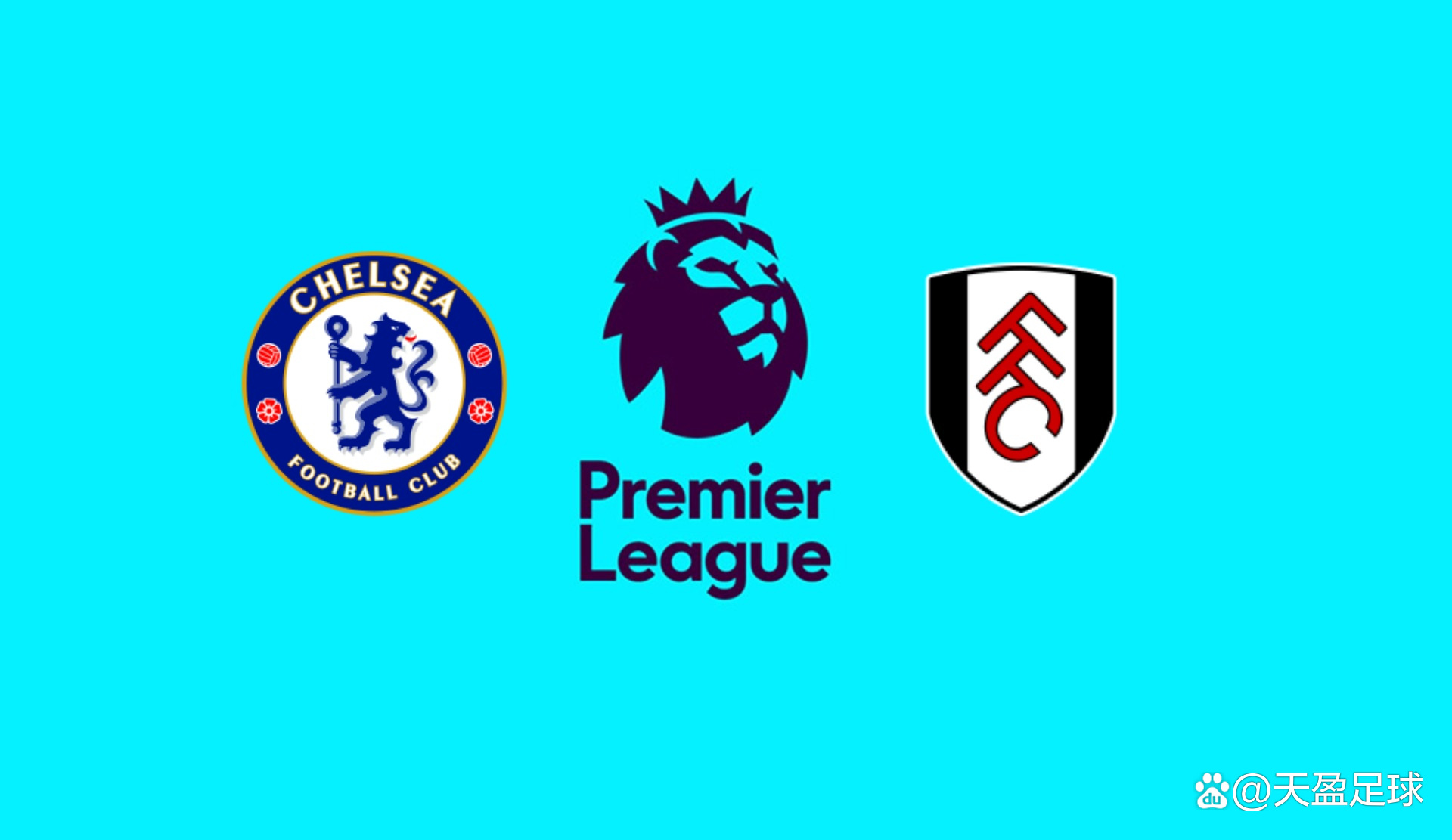 瓦基弗费内争新赛季首冠！中国球员还未到位，两队曾各5次夺冠